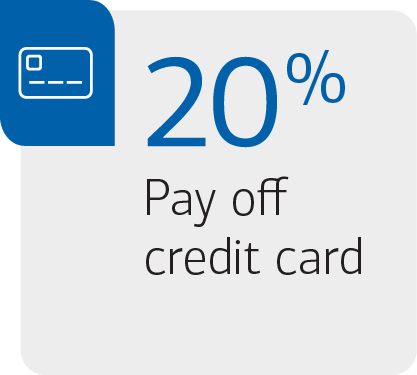 20% pay off credit card